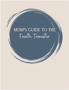 Mom's Guide to the Fourth Trimester, by Nicole Palaio, LPC